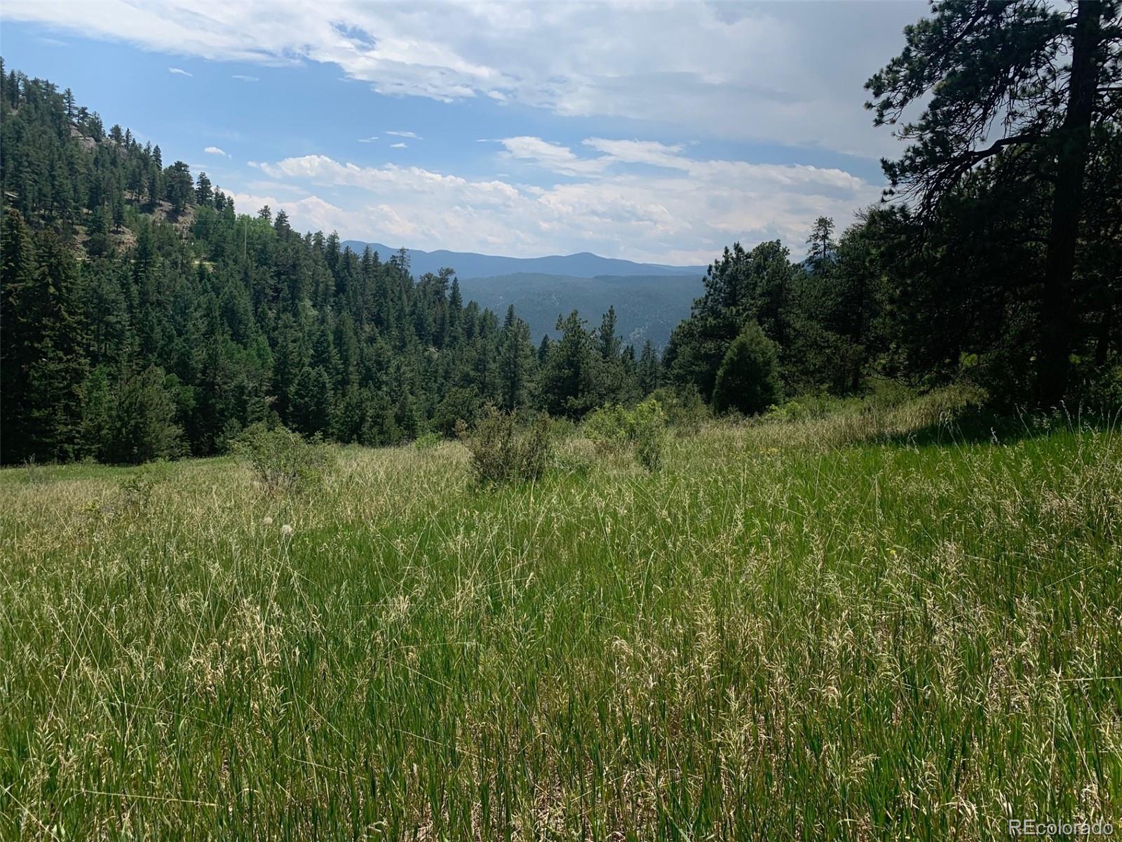 00 Douglas Mountain Drive Golden CO 80403