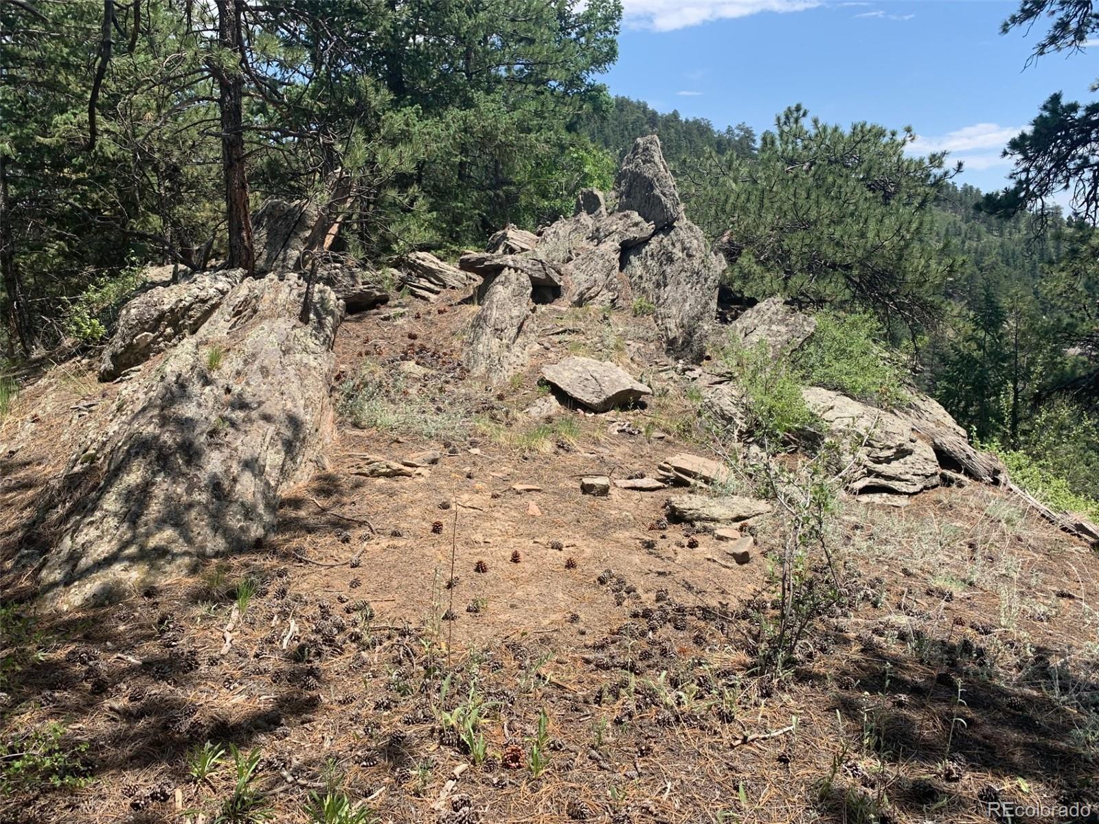 00 Douglas Mountain Drive Golden CO 80403