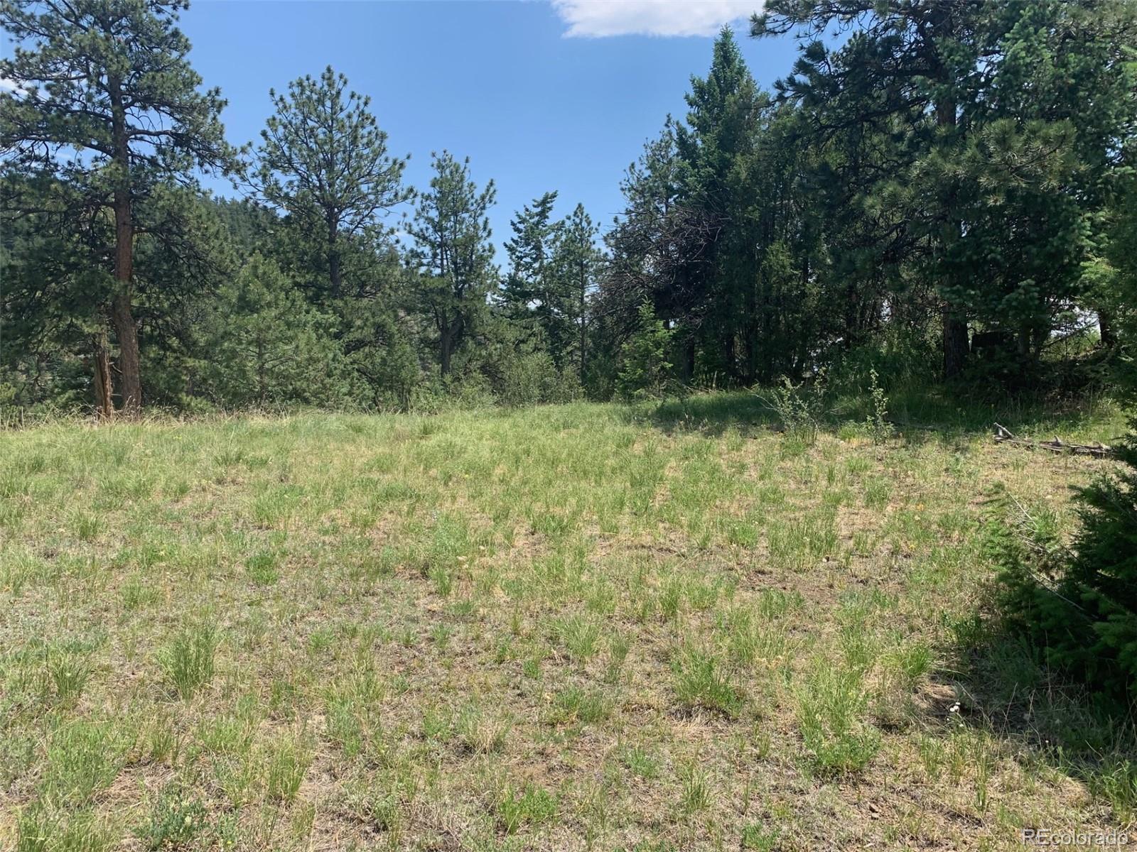00 Douglas Mountain Drive Golden CO 80403