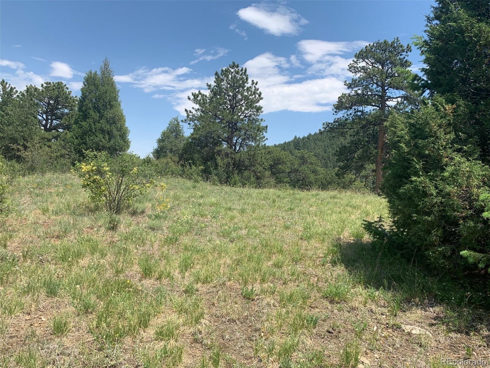 00 Douglas Mountain Drive Golden CO 80403