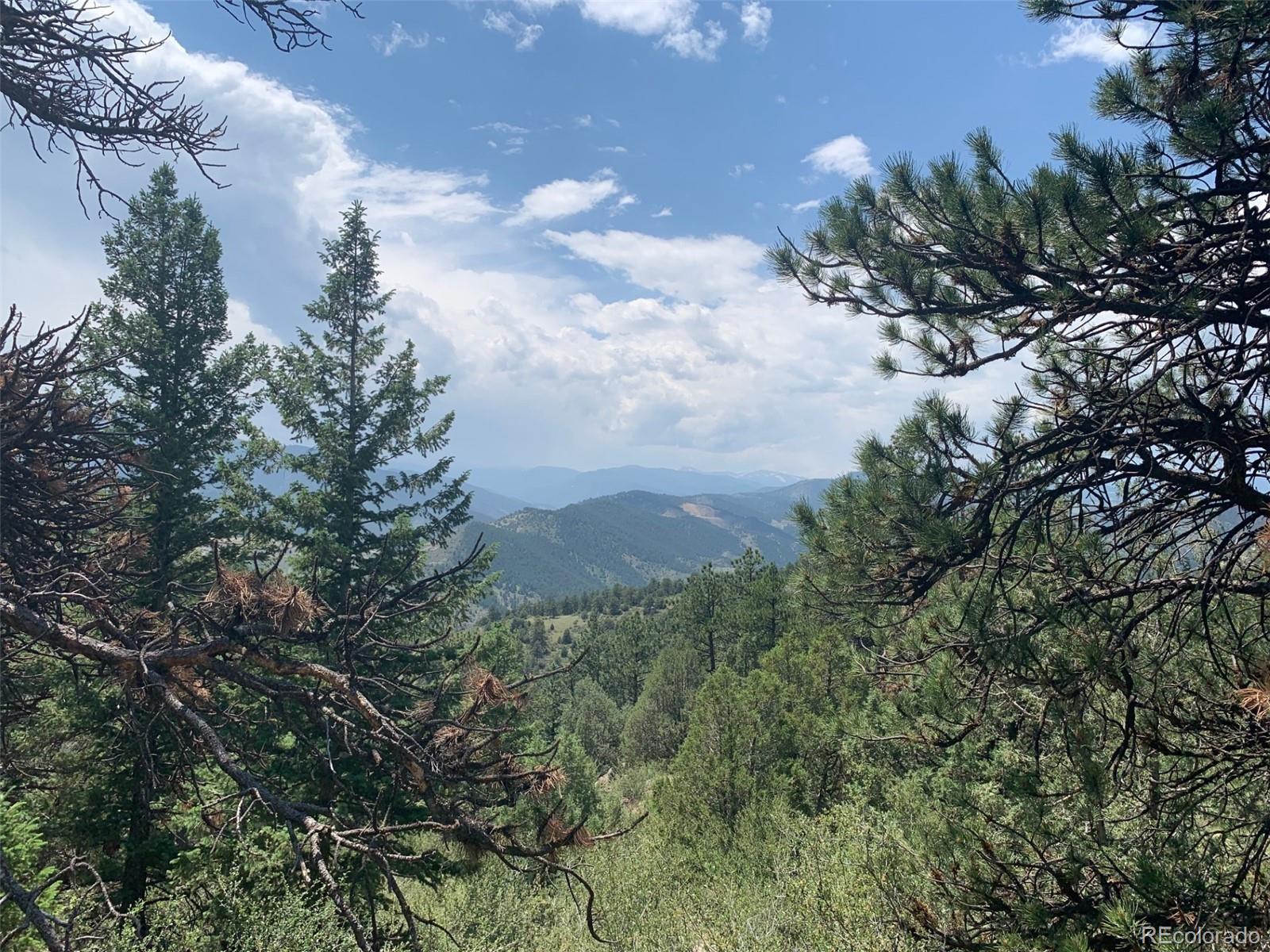 00 Douglas Mountain Drive Golden CO 80403