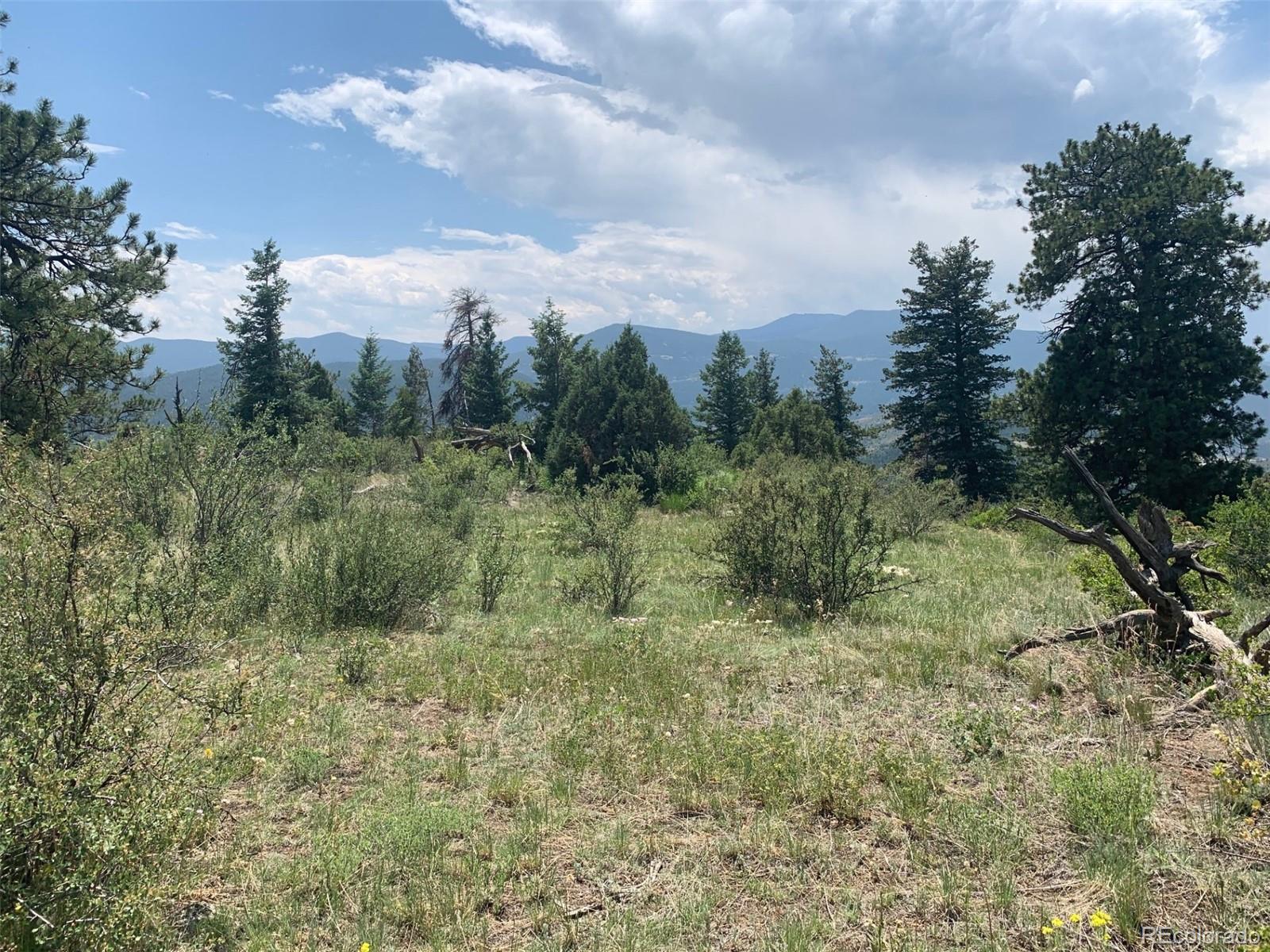 00 Douglas Mountain Drive Golden CO 80403