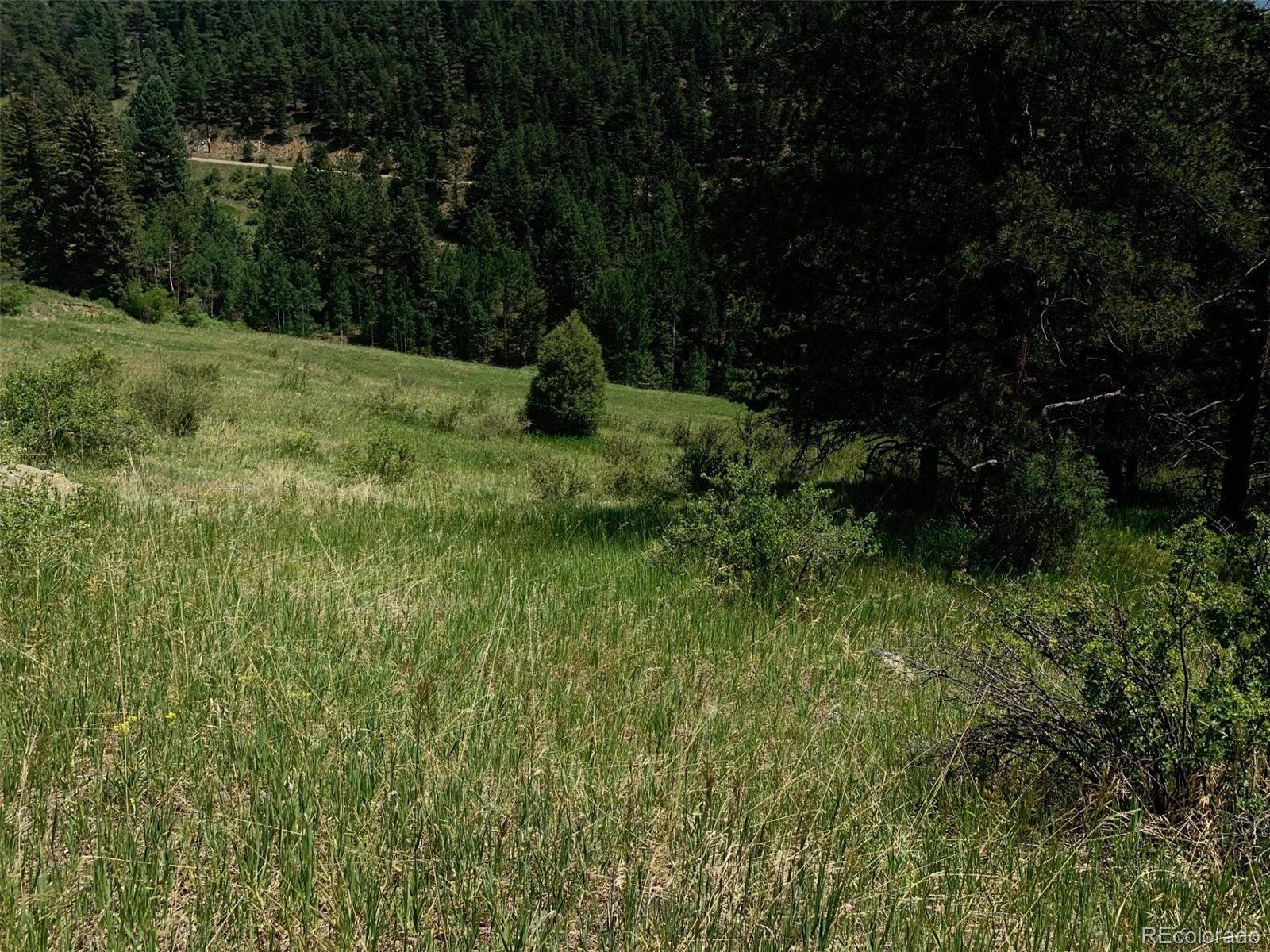 00 Douglas Mountain Drive Golden CO 80403