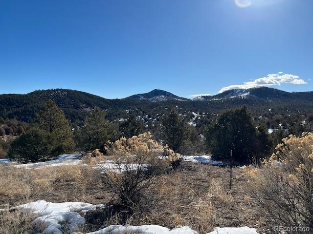 3586 Indian Wells Road Texas Creek CO 81223