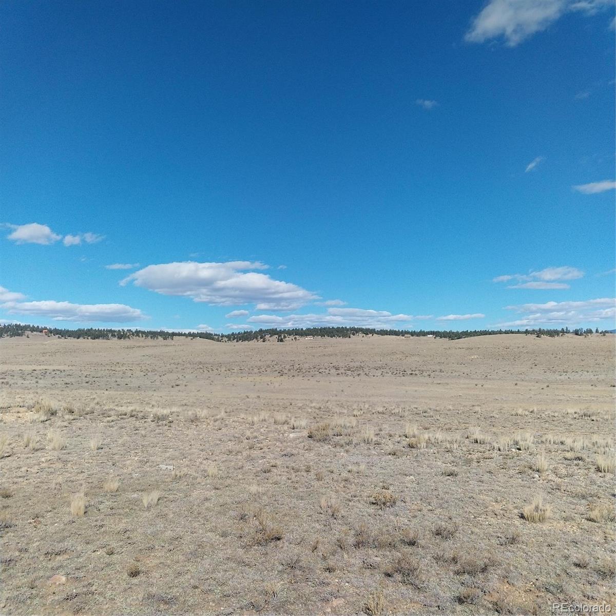 3552 Ute Trace Hartsel CO 80449