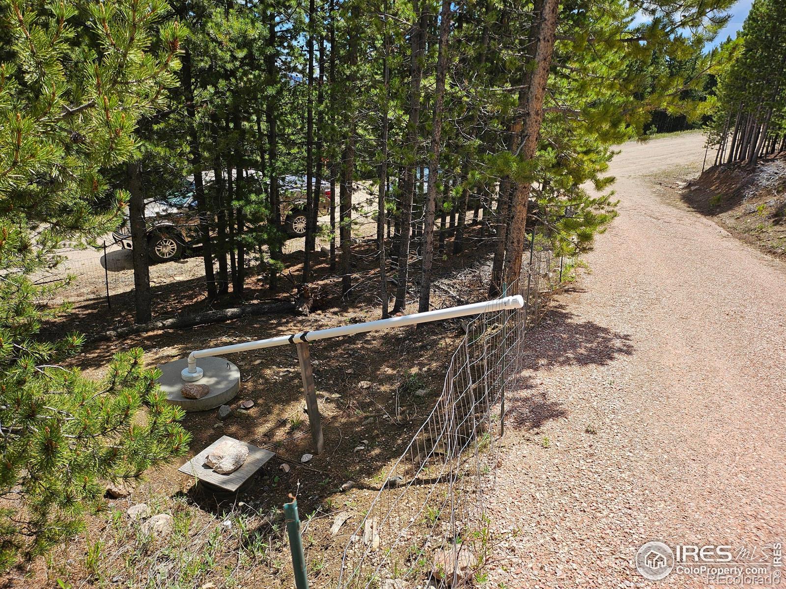 113 Shoshoni Drive Red Feather Lakes CO 80545