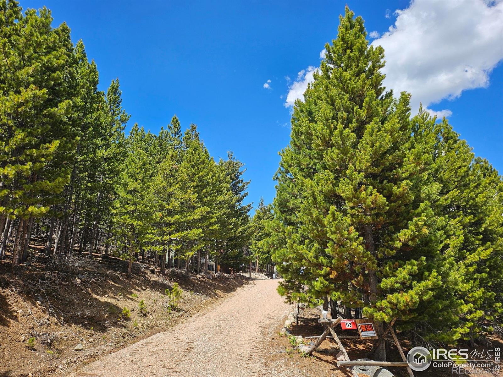 113 Shoshoni Drive Red Feather Lakes CO 80545