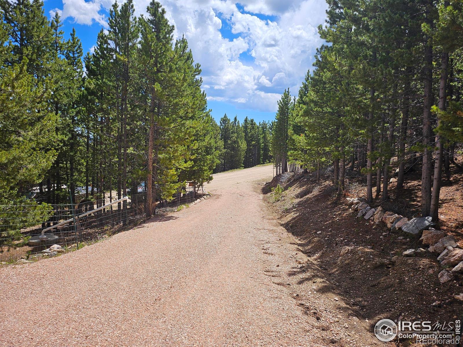 113 Shoshoni Drive Red Feather Lakes CO 80545