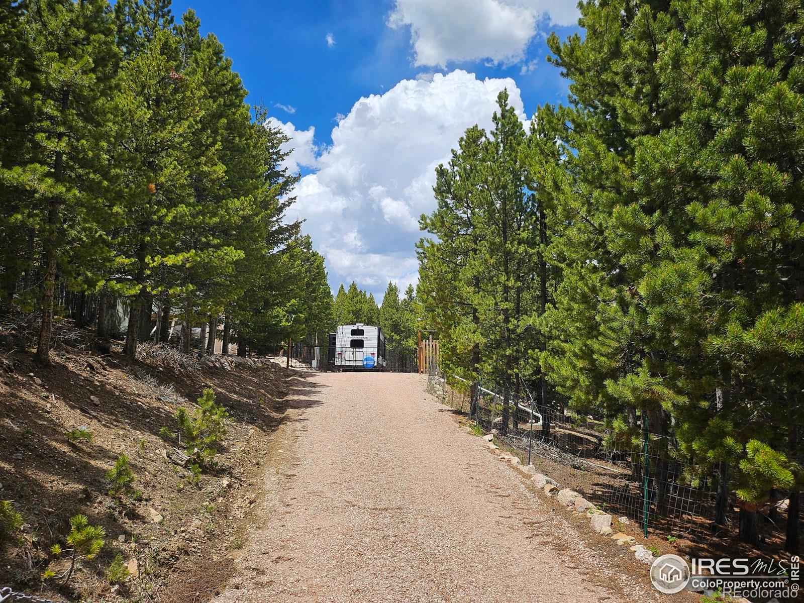 113 Shoshoni Drive Red Feather Lakes CO 80545