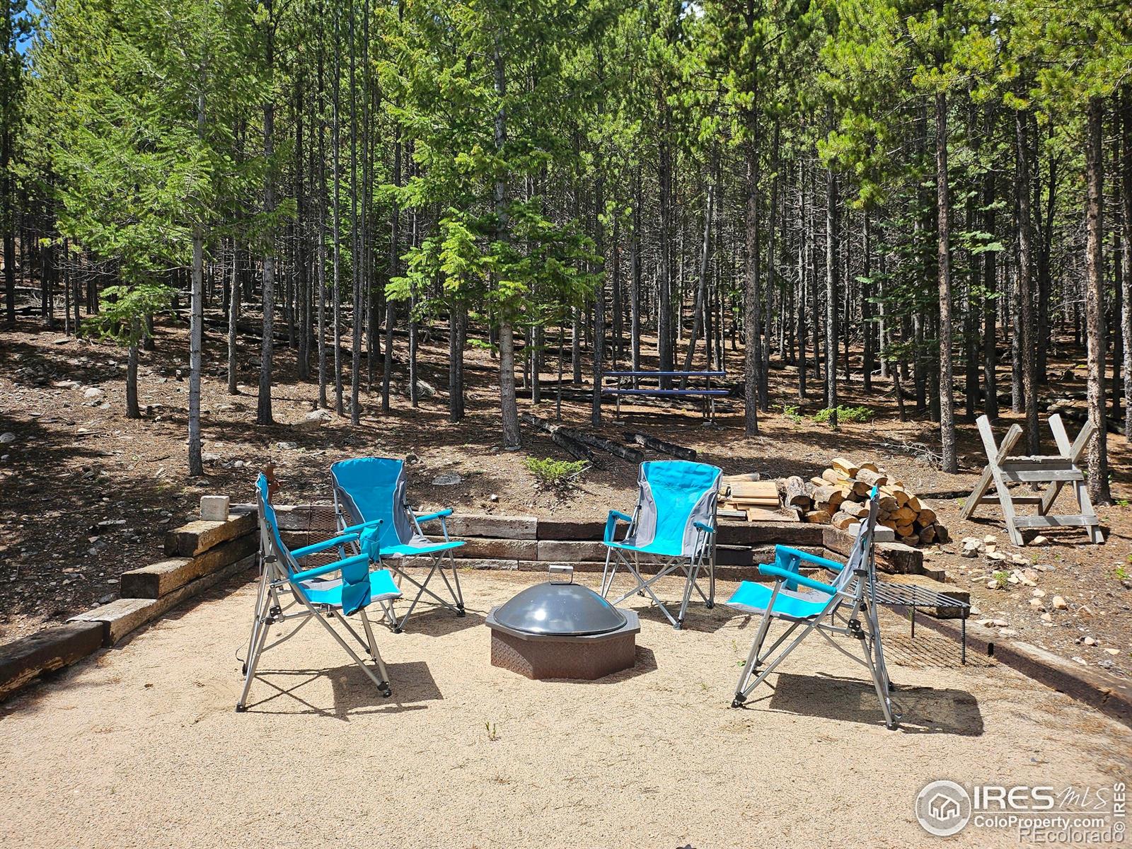 113 Shoshoni Drive Red Feather Lakes CO 80545