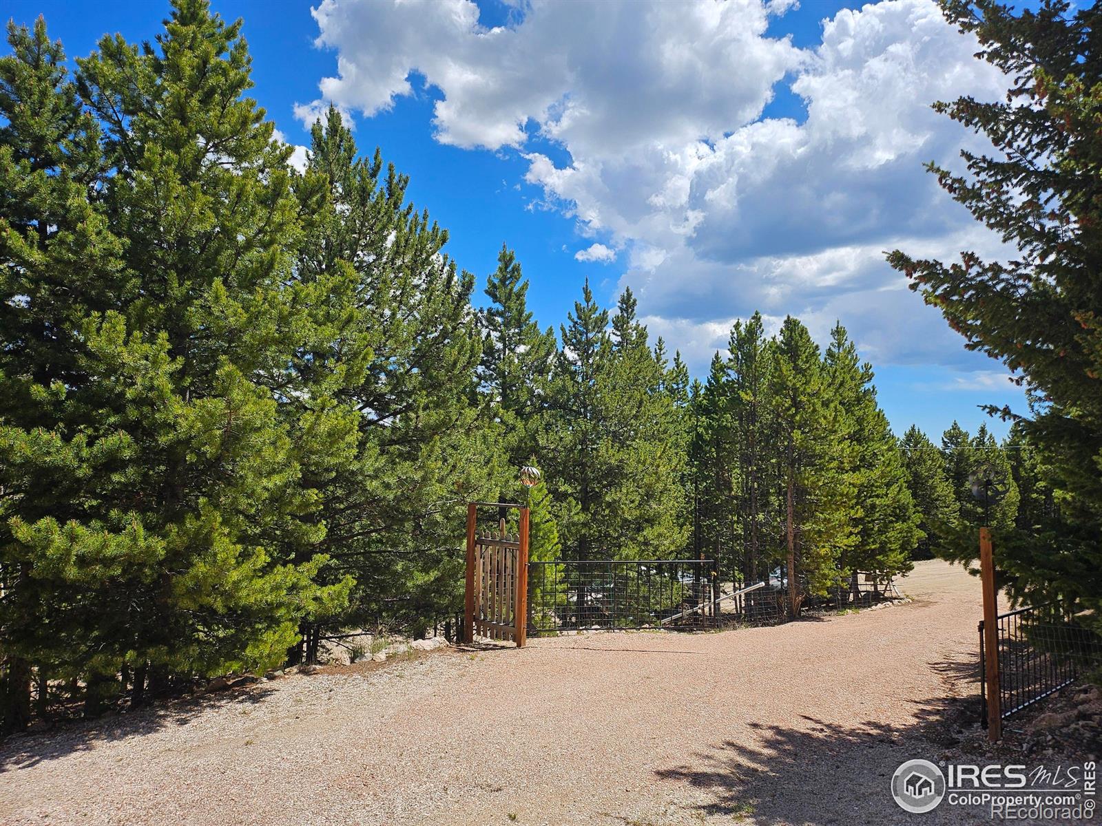 113 Shoshoni Drive Red Feather Lakes CO 80545