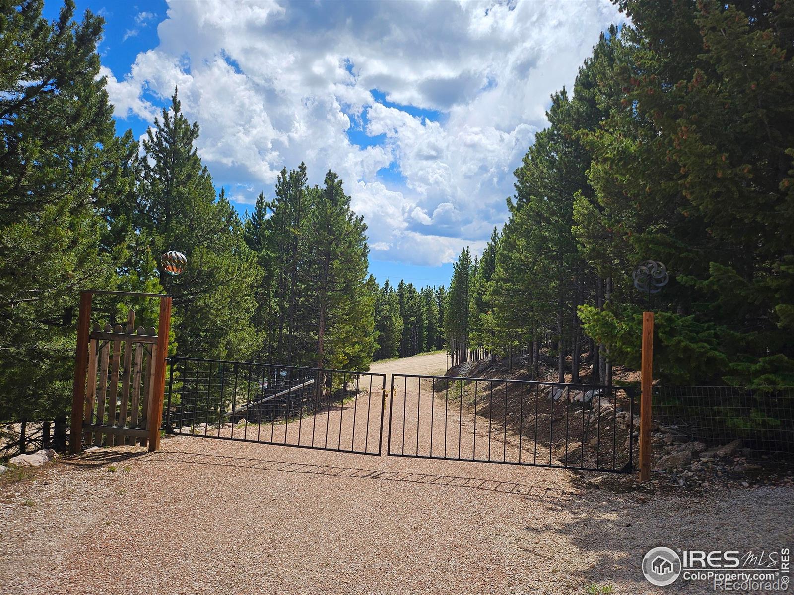 113 Shoshoni Drive Red Feather Lakes CO 80545