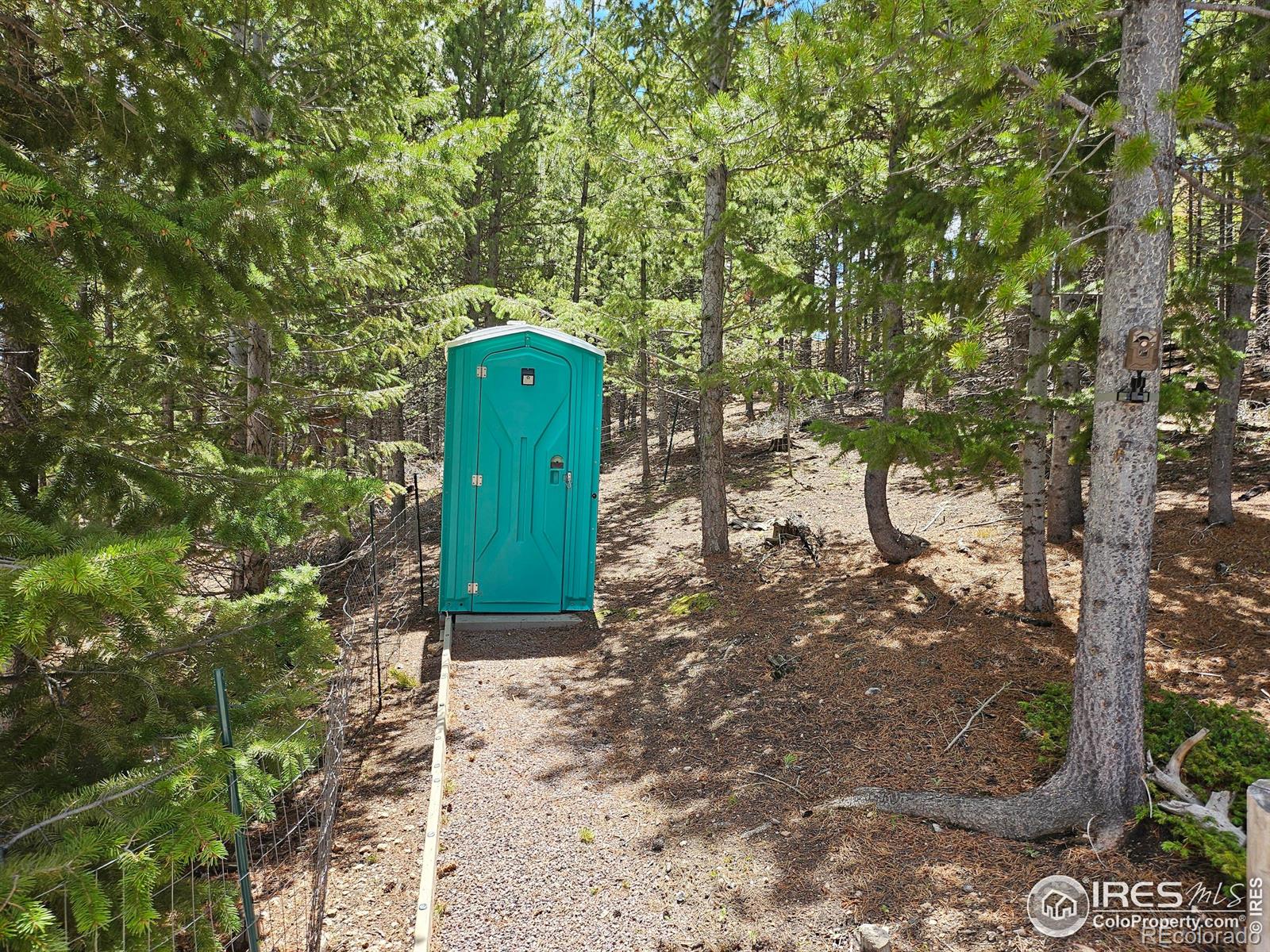 113 Shoshoni Drive Red Feather Lakes CO 80545