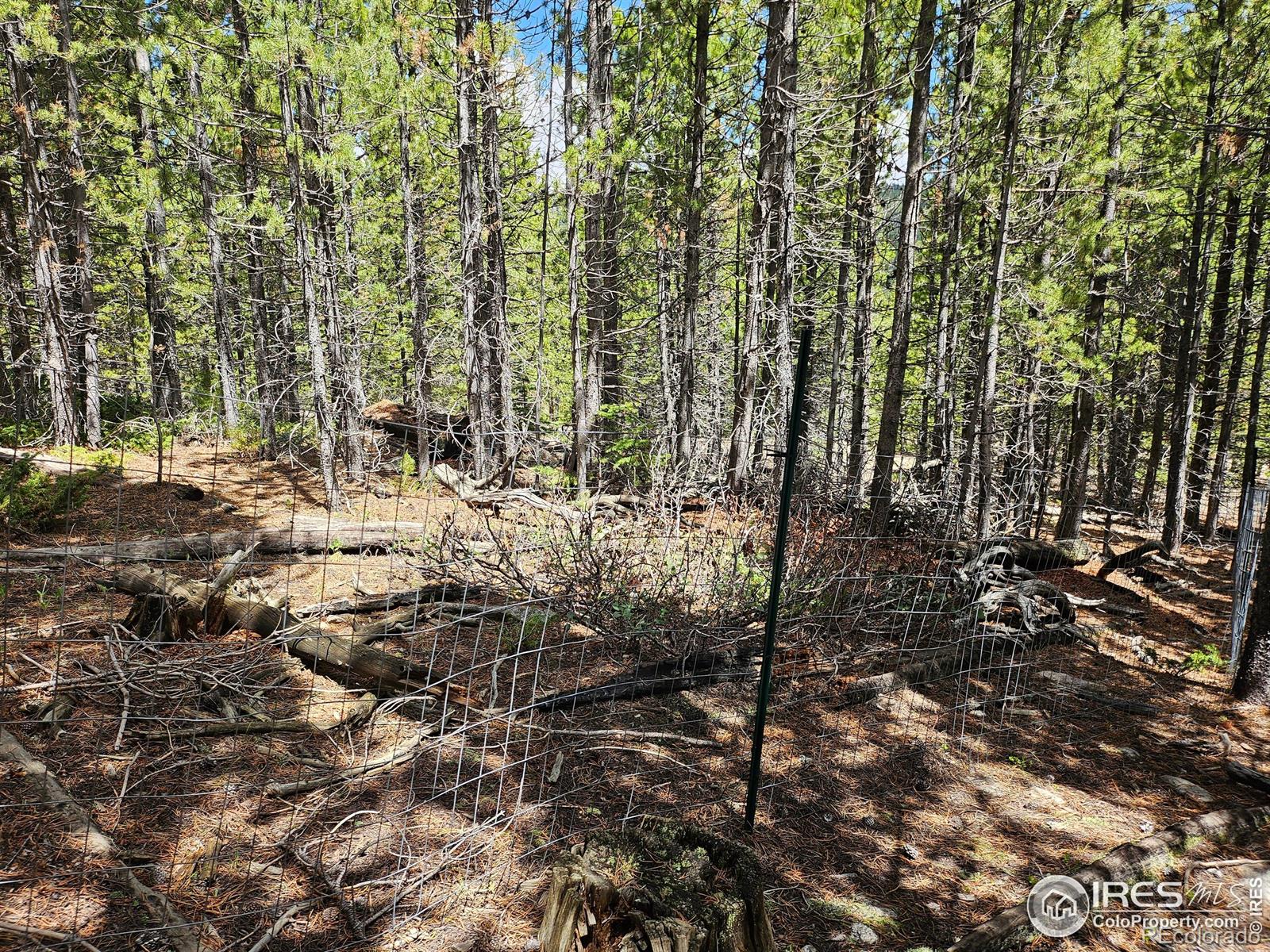 113 Shoshoni Drive Red Feather Lakes CO 80545