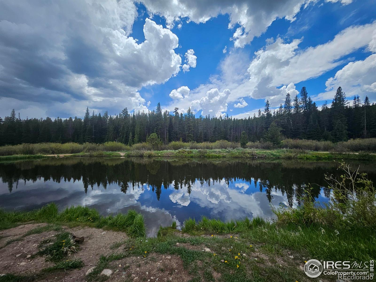 113 Shoshoni Drive Red Feather Lakes CO 80545