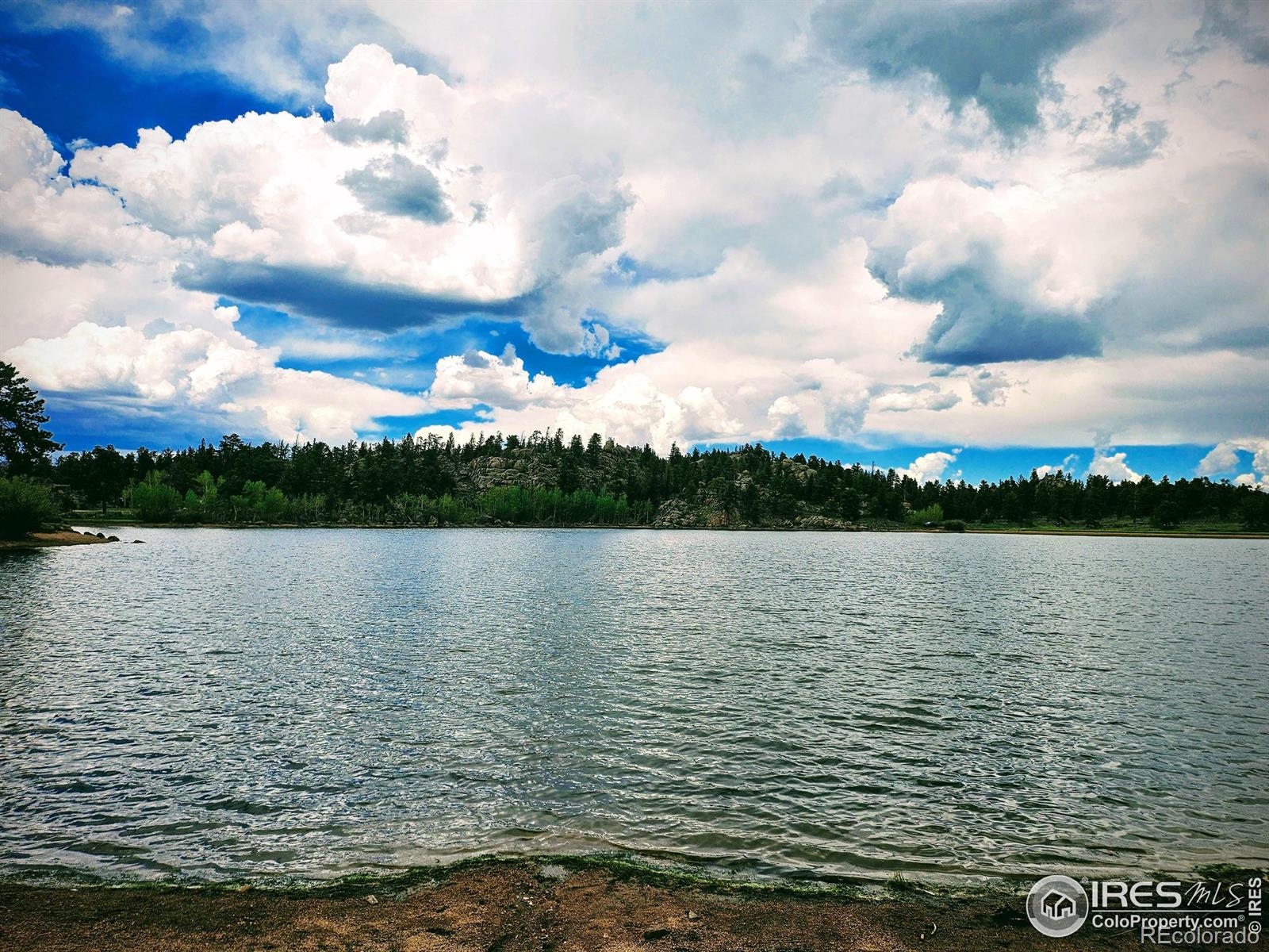 113 Shoshoni Drive Red Feather Lakes CO 80545