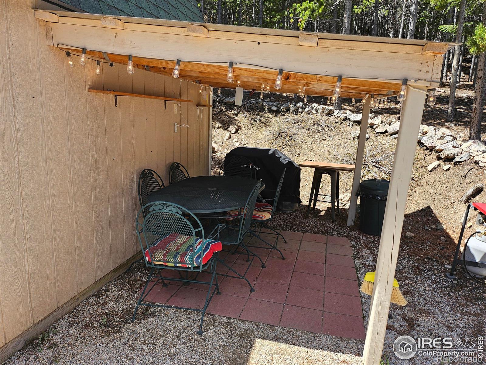 113 Shoshoni Drive Red Feather Lakes CO 80545