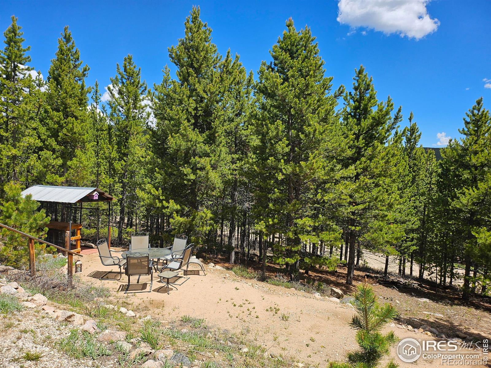 113 Shoshoni Drive Red Feather Lakes CO 80545