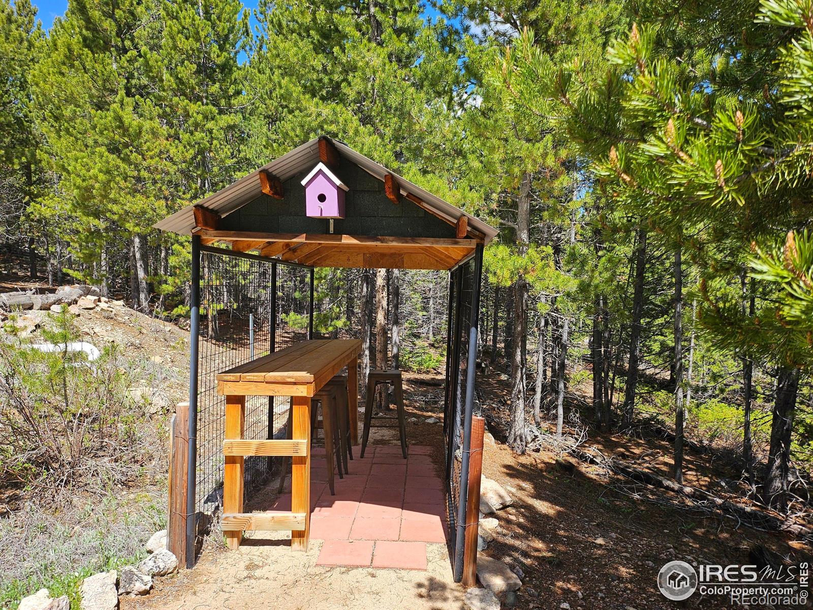 113 Shoshoni Drive Red Feather Lakes CO 80545