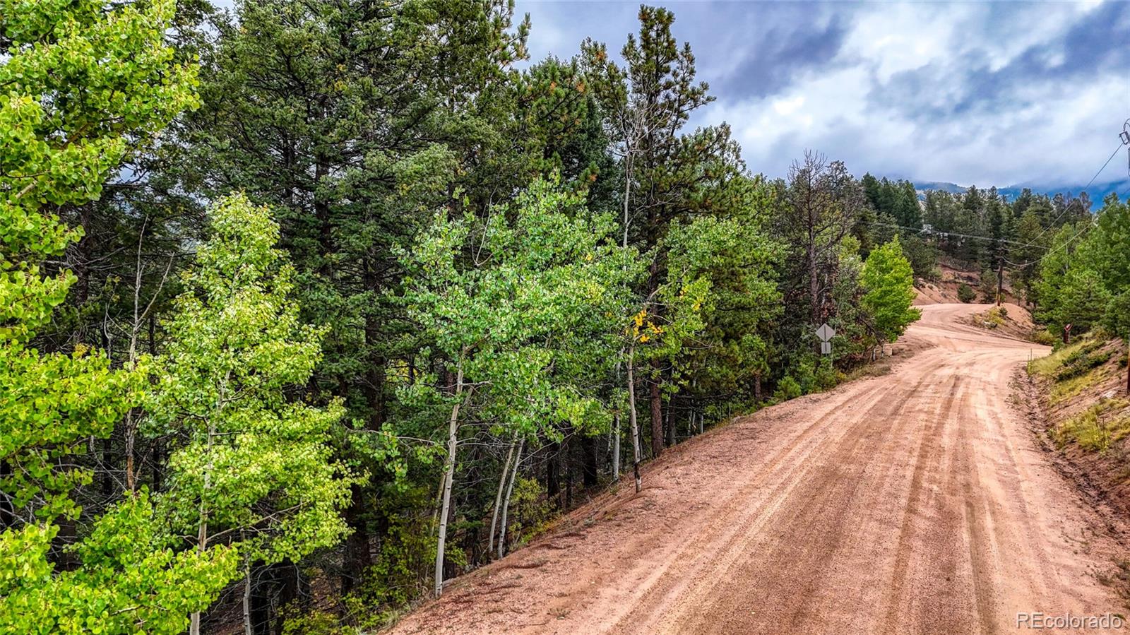 599 Dandy Jim Drive Cripple Creek CO 80813