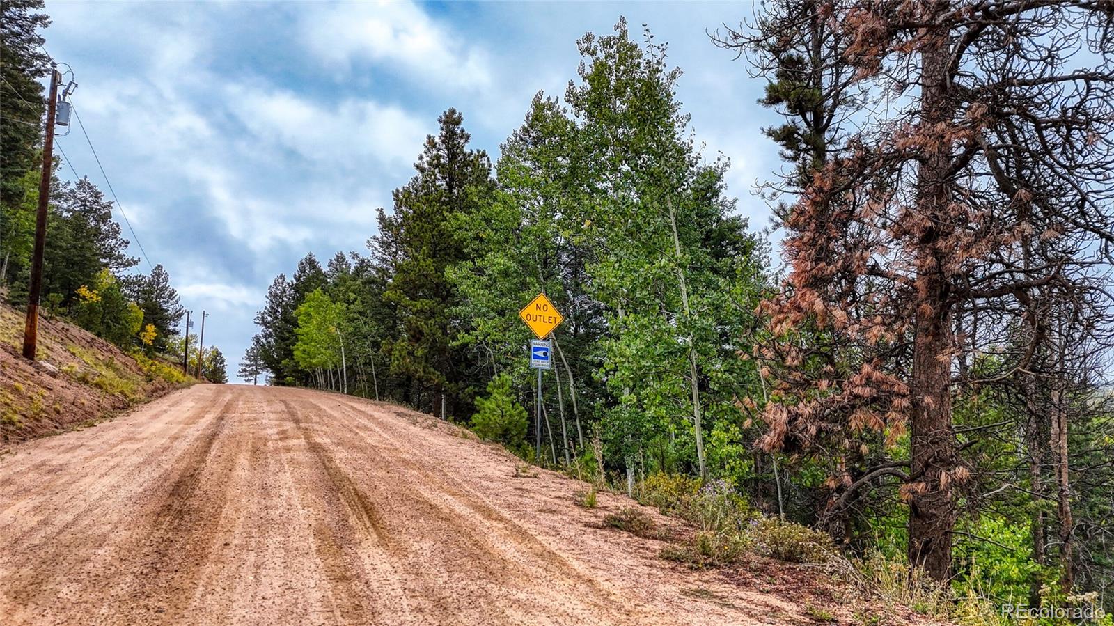 599 Dandy Jim Drive Cripple Creek CO 80813