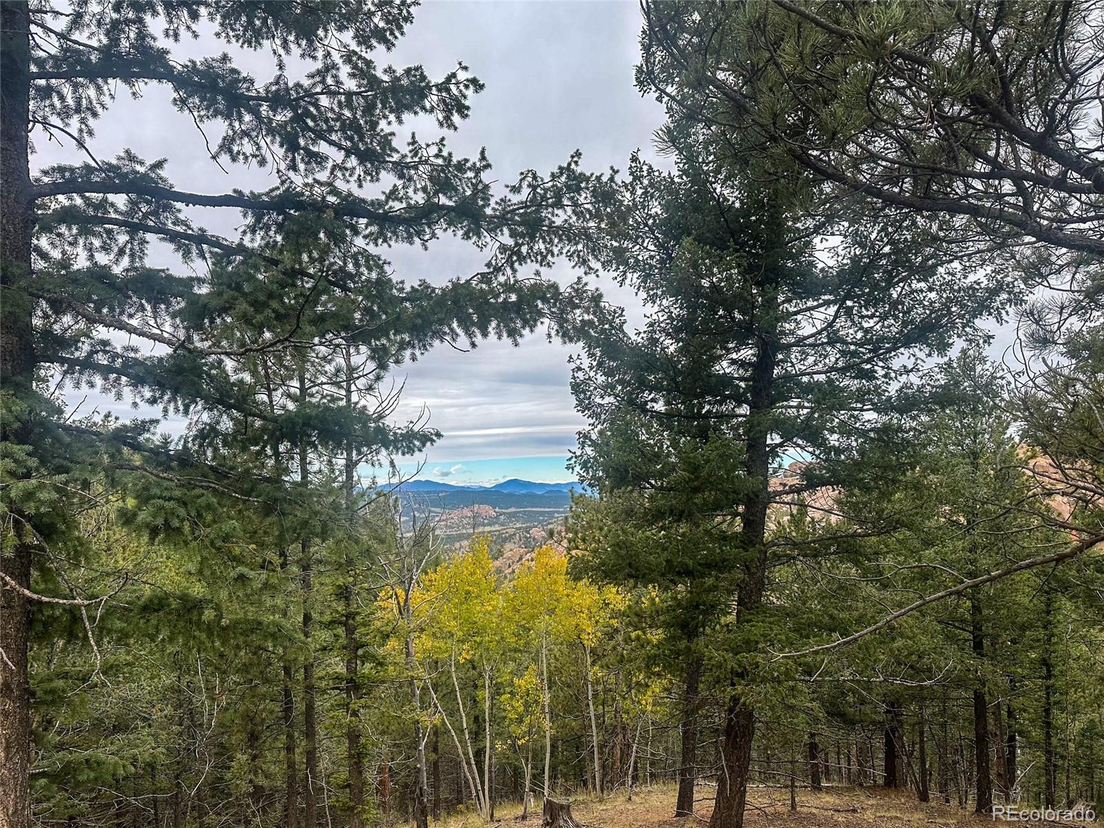 599 Dandy Jim Drive Cripple Creek CO 80813