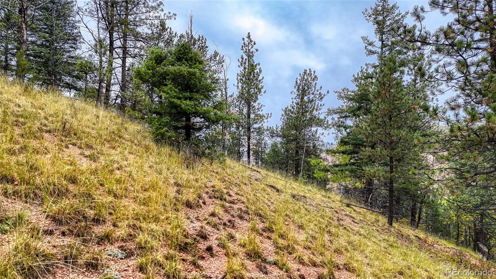 599 Dandy Jim Drive Cripple Creek CO 80813
