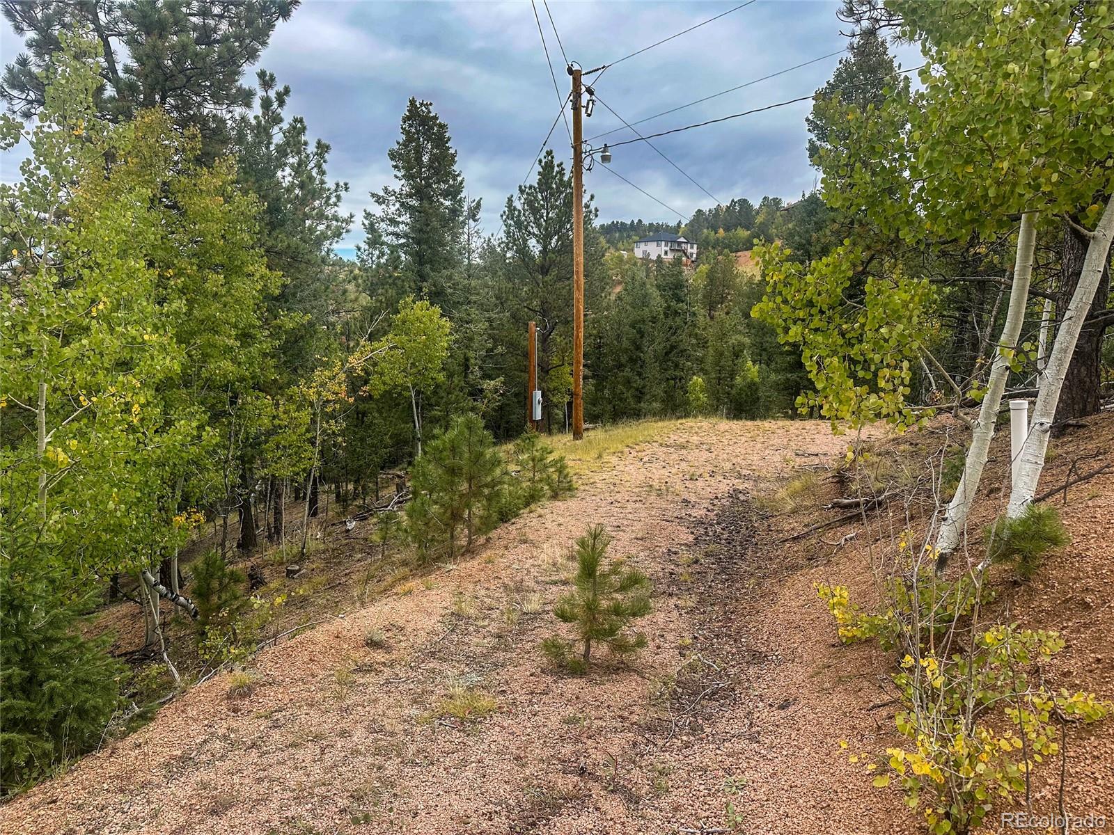599 Dandy Jim Drive Cripple Creek CO 80813