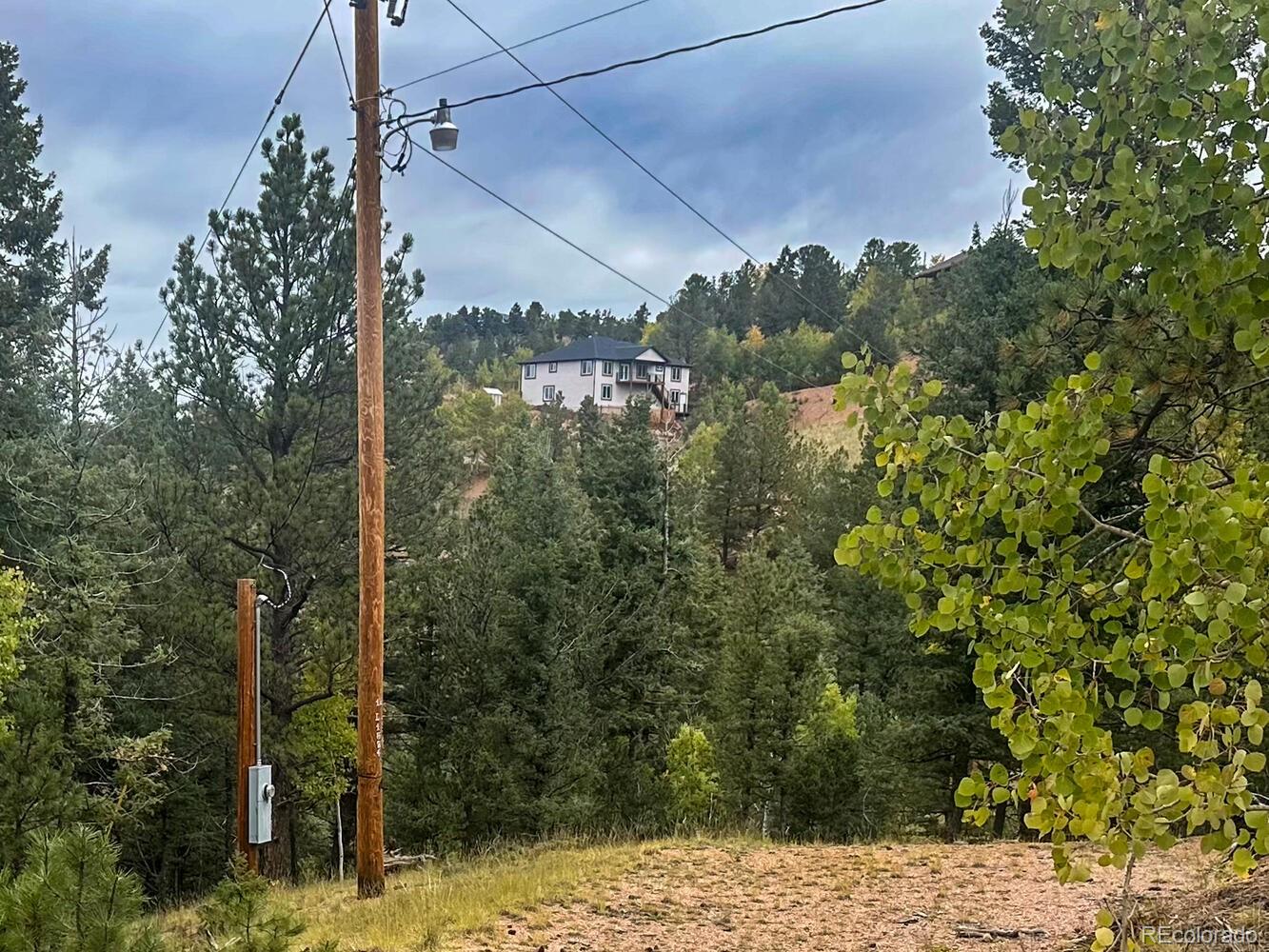 599 Dandy Jim Drive Cripple Creek CO 80813