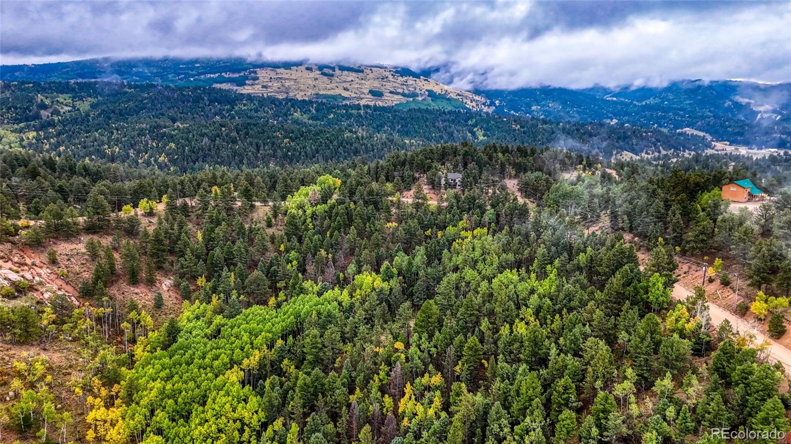 599 Dandy Jim Drive Cripple Creek CO 80813