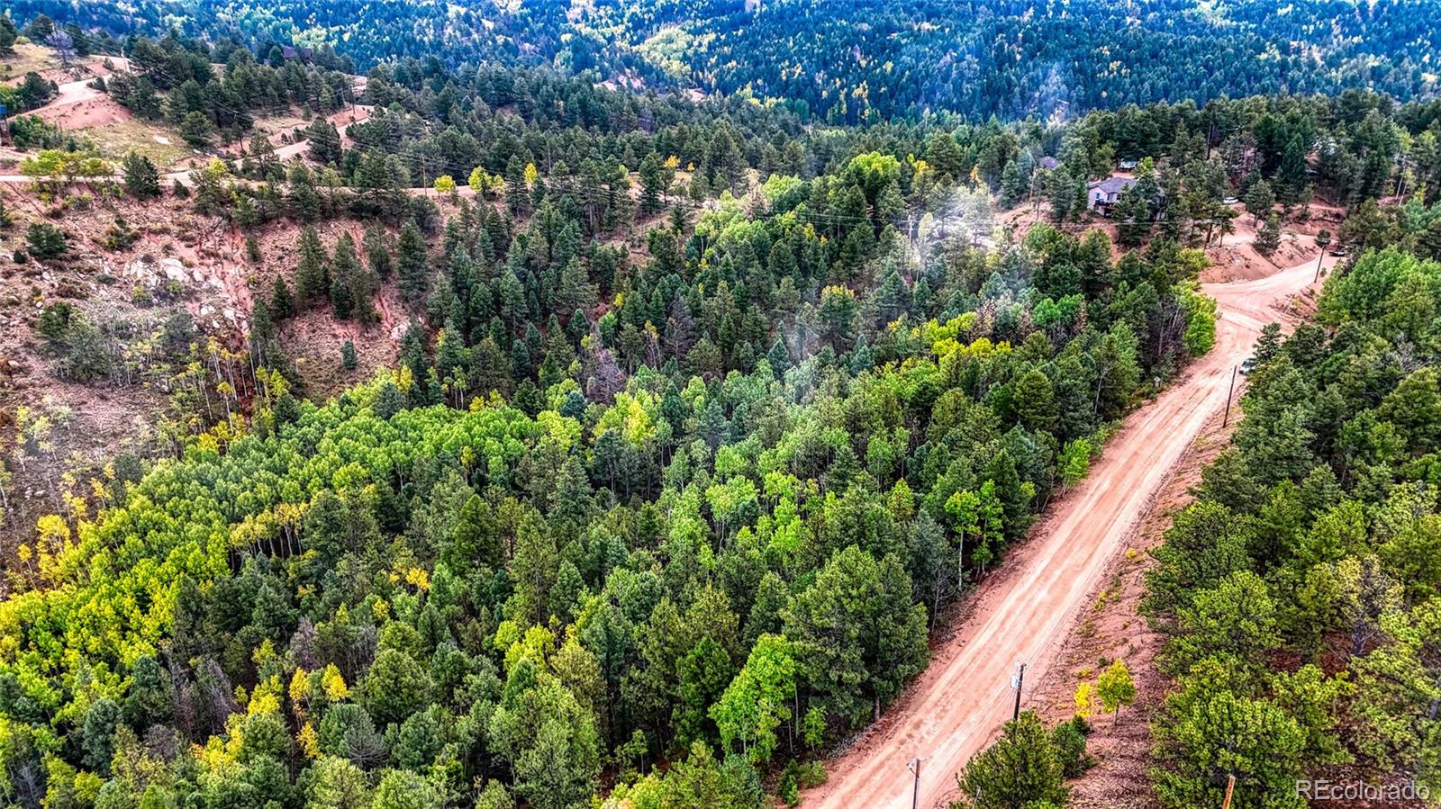 599 Dandy Jim Drive Cripple Creek CO 80813