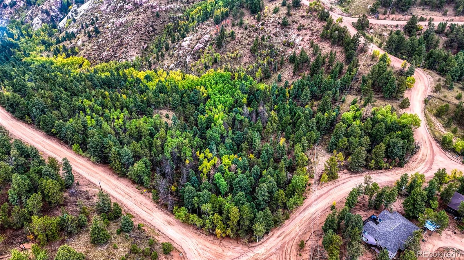 599 Dandy Jim Drive Cripple Creek CO 80813