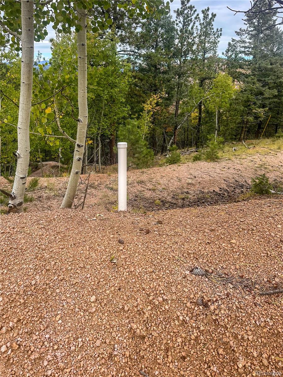 599 Dandy Jim Drive Cripple Creek CO 80813