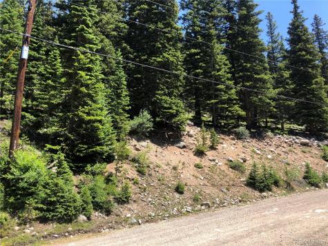 000 Mine Road Idaho Springs CO 80452