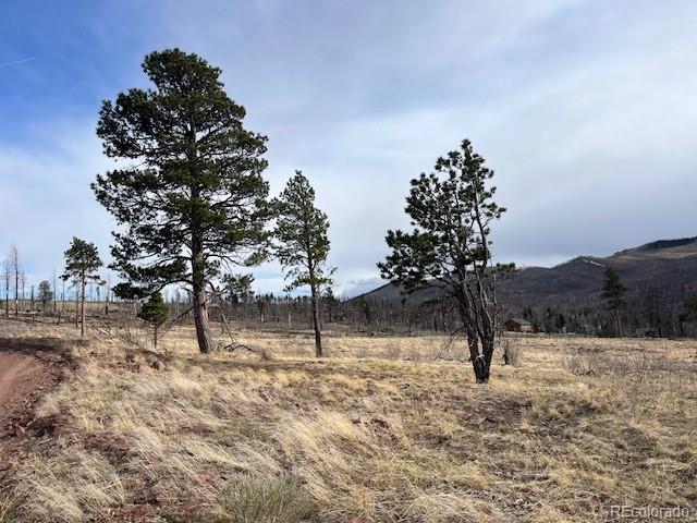 Lot 1020 & 1021 Hassan Lane Fort Garland CO 81133