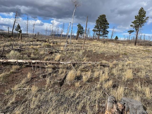 Lot 1020 & 1021 Hassan Lane Fort Garland CO 81133