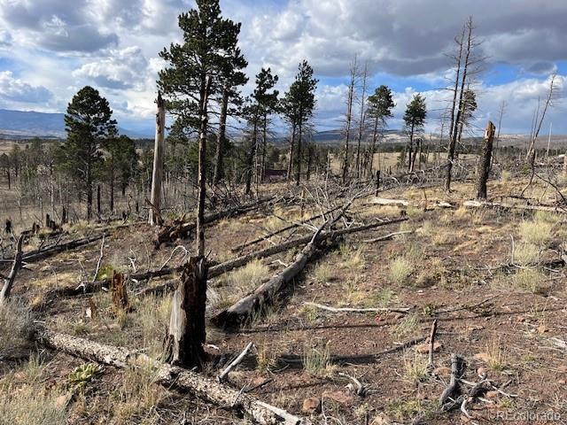 Lot 1020 & 1021 Hassan Lane Fort Garland CO 81133