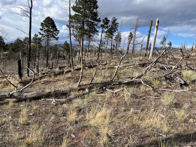 Lot 1020 & 1021 Hassan Lane Fort Garland CO 81133