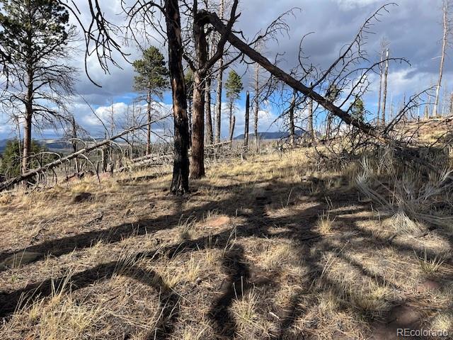 Lot 1020 & 1021 Hassan Lane Fort Garland CO 81133