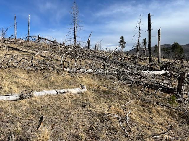 Lot 1020 & 1021 Hassan Lane Fort Garland CO 81133
