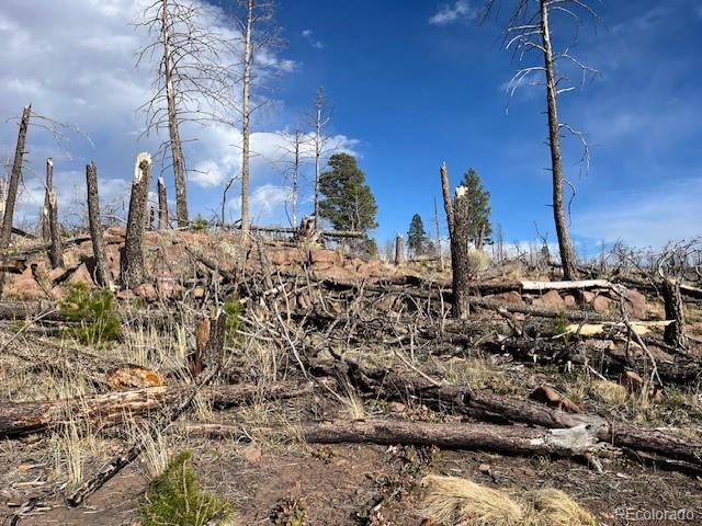 Lot 1020 & 1021 Hassan Lane Fort Garland CO 81133