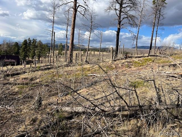 Lot 1020 & 1021 Hassan Lane Fort Garland CO 81133