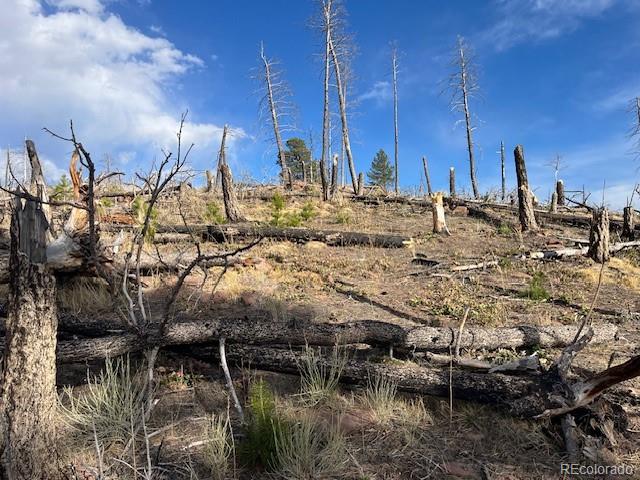 Lot 1020 & 1021 Hassan Lane Fort Garland CO 81133