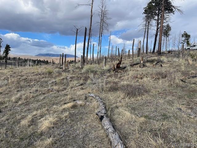 Lot 1020 & 1021 Hassan Lane Fort Garland CO 81133