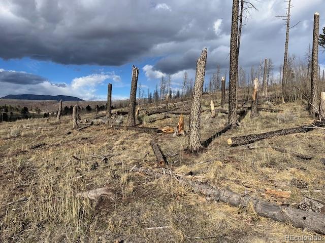 Lot 1020 & 1021 Hassan Lane Fort Garland CO 81133
