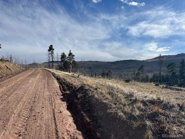 Lot 1020 & 1021 Hassan Lane Fort Garland CO 81133
