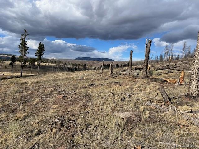 Lot 1020 & 1021 Hassan Lane Fort Garland CO 81133