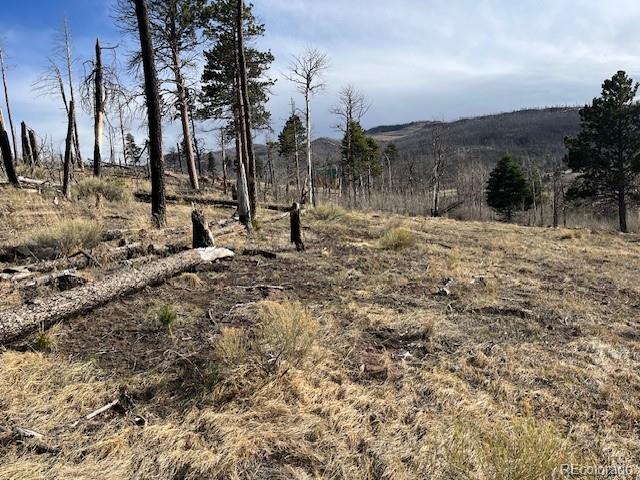 Lot 1020 & 1021 Hassan Lane Fort Garland CO 81133