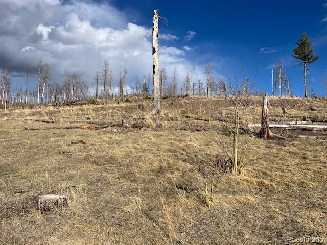 Lot 1020 & 1021 Hassan Lane Fort Garland CO 81133
