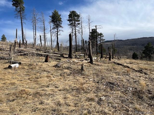 Lot 1020 & 1021 Hassan Lane Fort Garland CO 81133
